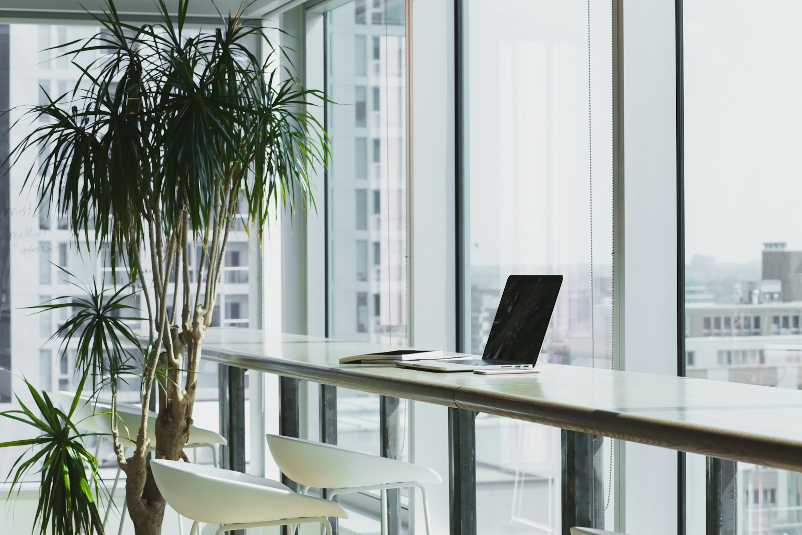 A bright, naturally lit corner of the Wealth AI Clash training studio near the Inner Harbour.